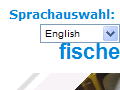http://www.fischereihafenrennen.de/
