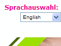 http://www.handy-toll.de/